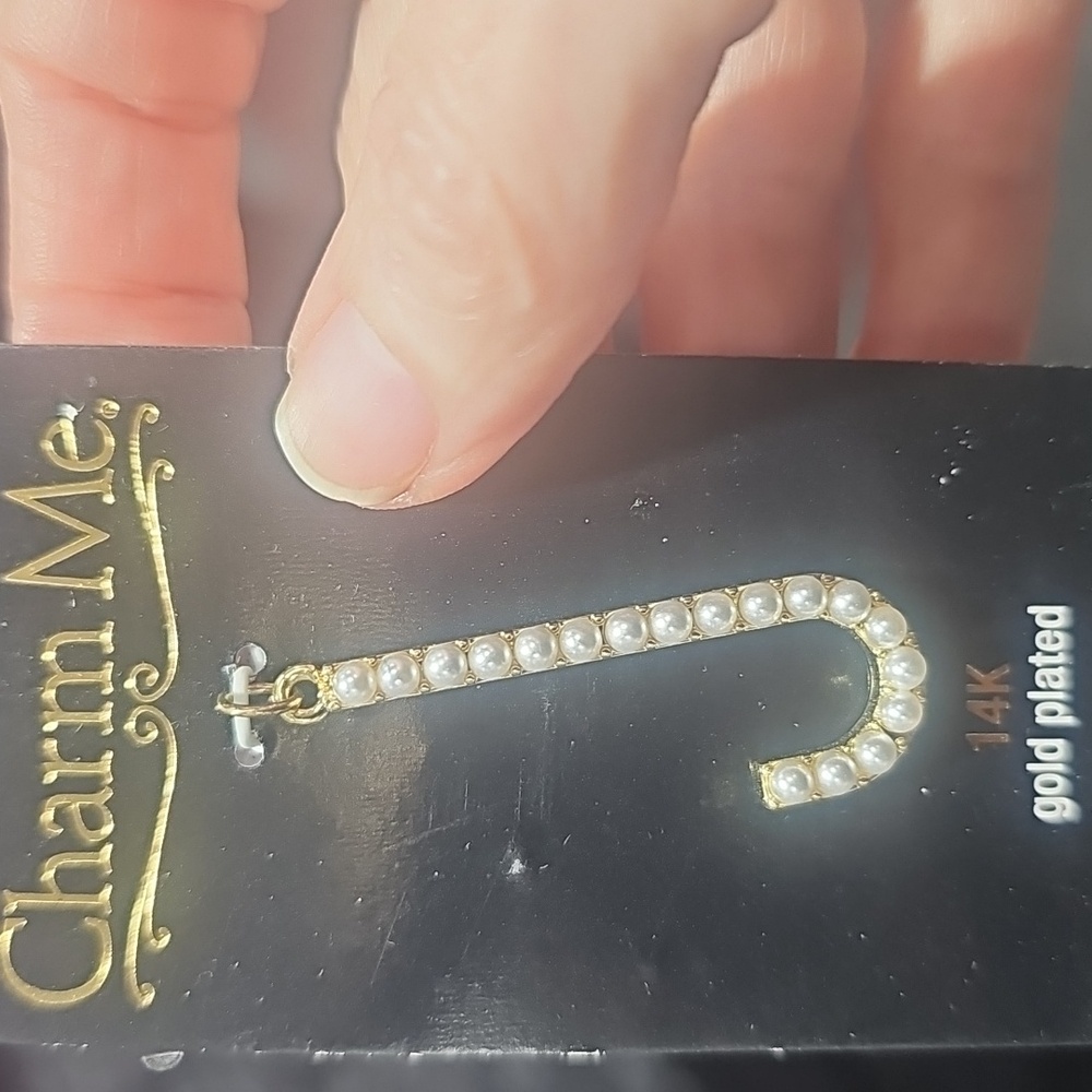 NWT 14KT gold plated J Charm/ Pendant